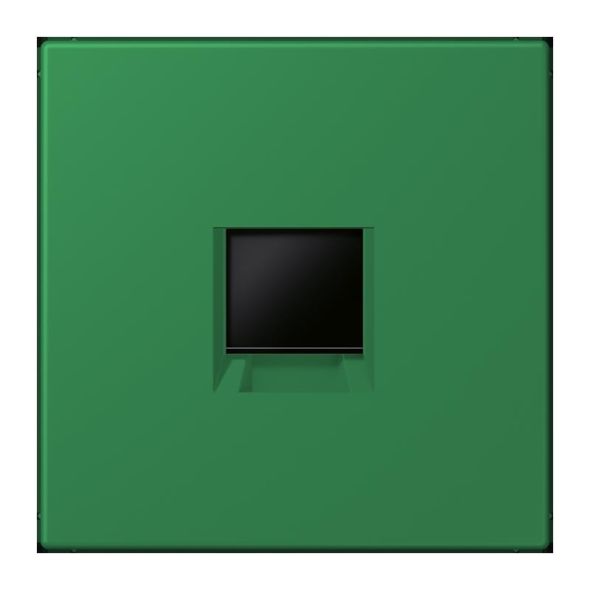 Abdeckung (gerastet) LC 1969-1 WE 219