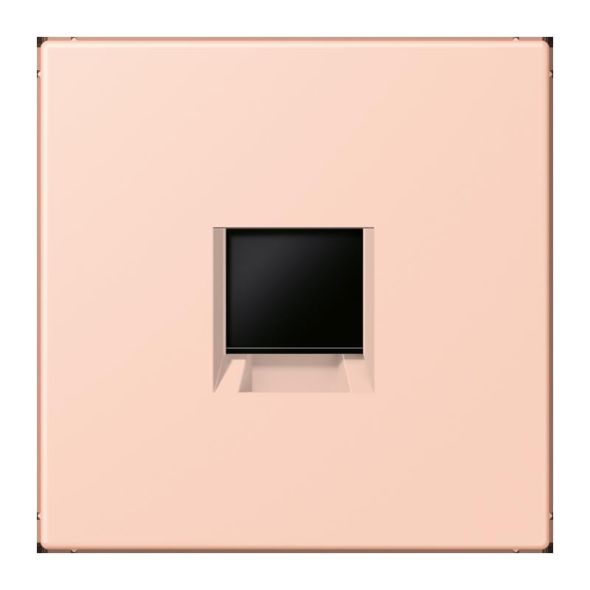 Abdeckung (gerastet) LC 1969-1 WE 234