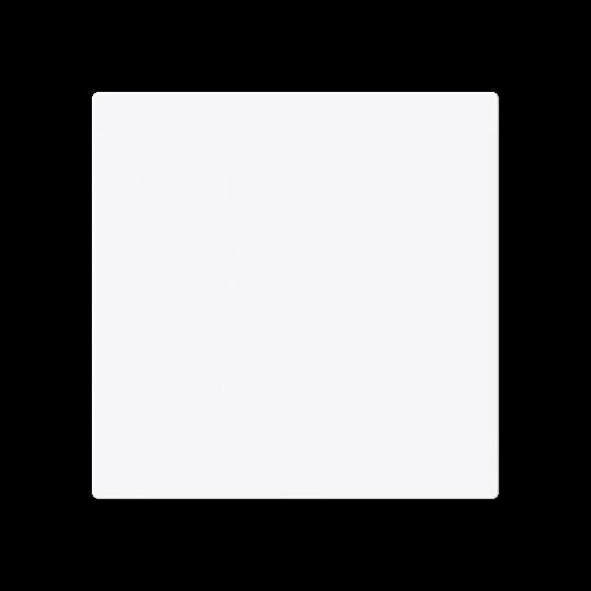 Zentralscheibe 1746-44G