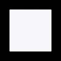 Zentralscheibe 1746-44G