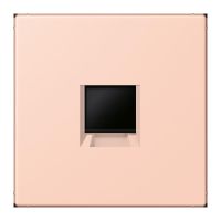 Abdeckung (gerastet) LC 1969-1 WE 234