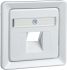 Zentralplatte rw 206524