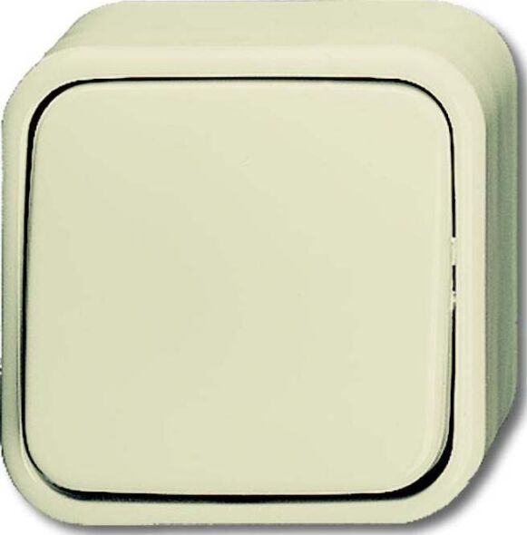 Kreuzschalter 2601/7 AP