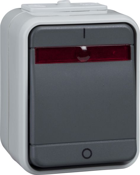 Kontroll-Ausschalter AP ELG441219