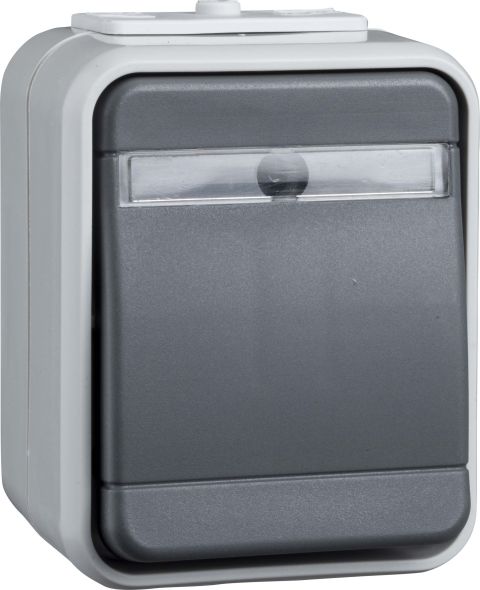 Wechselschalter 441639