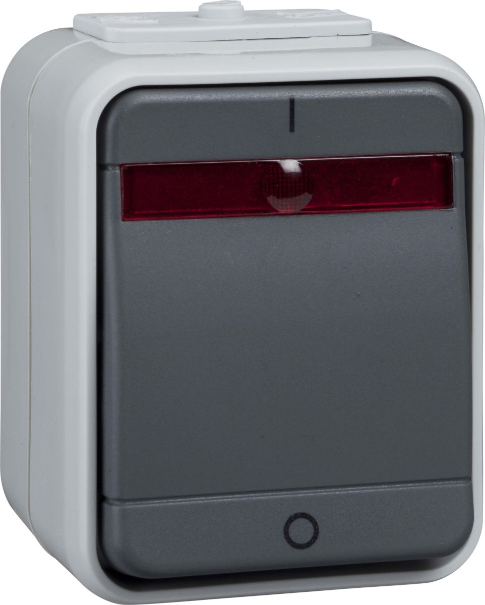 Kontroll-Ausschalter AP ELG441219