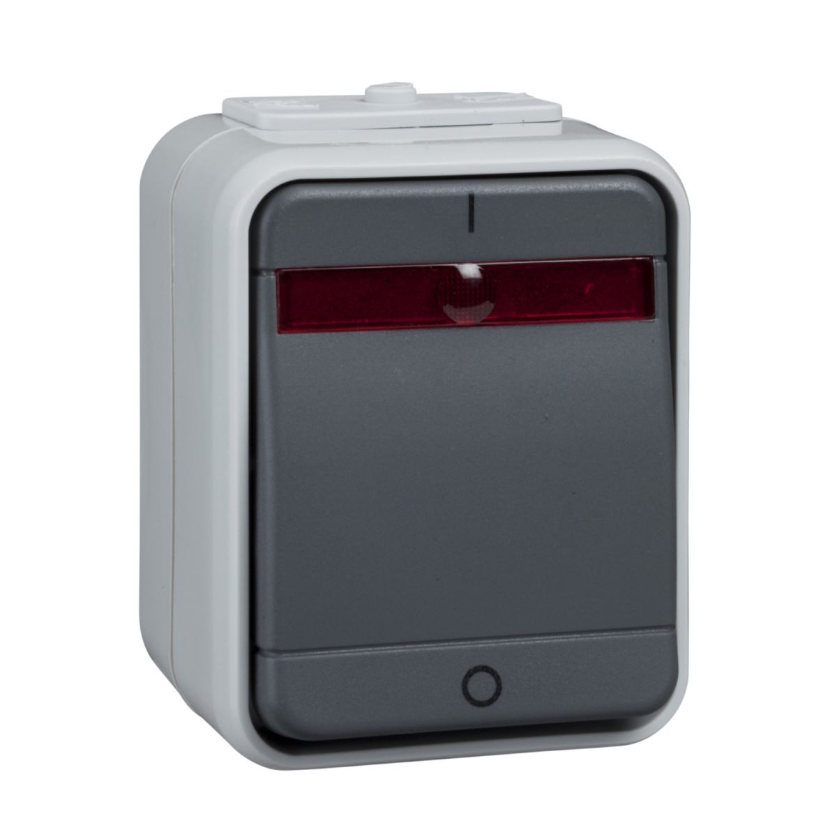 Kontroll-Ausschalter AP ELG441219