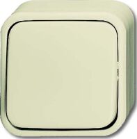 Kreuzschalter 2601/7 AP