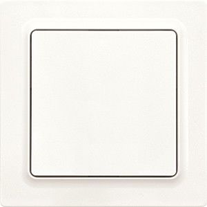 Funktaster F2T55EOR-pm