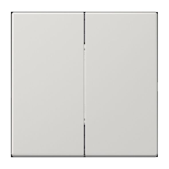 Matter Taster 2f MAT LS 995 LG