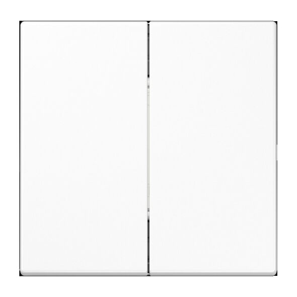 Matter Taster 2f MAT LS 995 WW