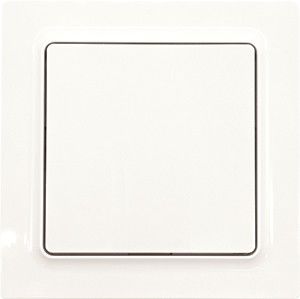 Funkschalter FS55E-pg