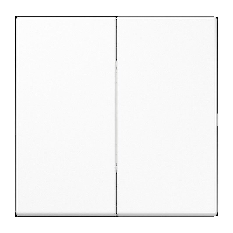 Matter Taster 2f MAT LS 995 WW