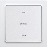 Funk-2-Kanal-Taster F2ZT55E-pm