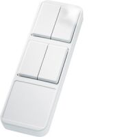 Funk-Handsender mit 2 DW FHS8-wg