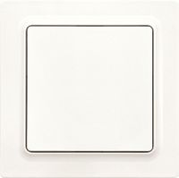 Funktaster F2T55E-pm