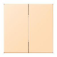 Hue Funk-Wandsender Set FOH LC 995 223