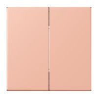 Hue Funk-Wandsender Set FOH LC 995 231