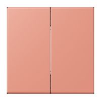 Hue Funk-Wandsender Set FOH LC 995 233