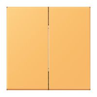 Hue Funk-Wandsender Set FOH LC 995 254