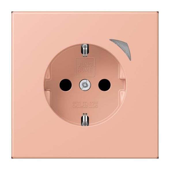 SCHUKO Steckdose BT LC 1521 SE 231