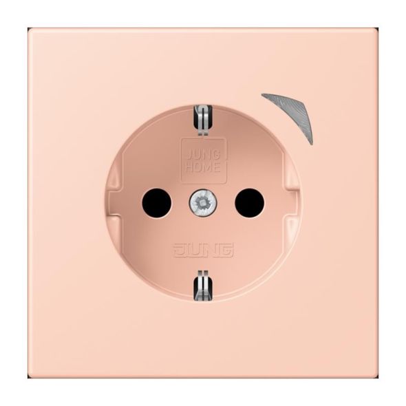 SCHUKO Steckdose BT LC 1521 SE 234