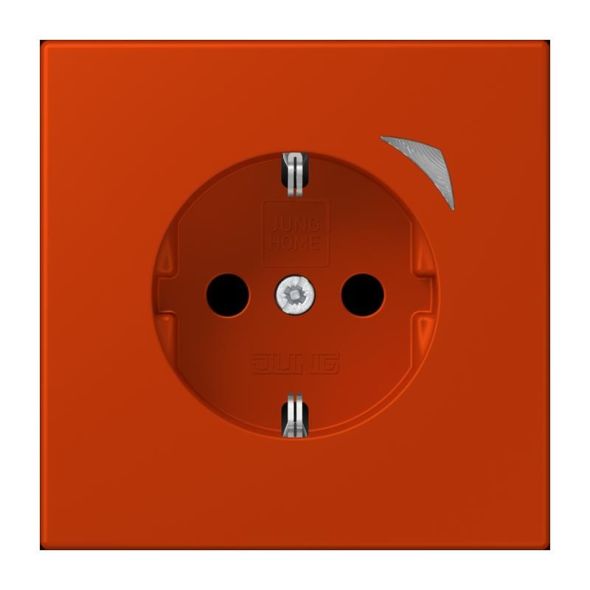 SCHUKO Steckdose BT LC 1521 SE 244