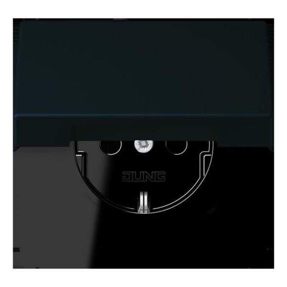 SCHUKO Steckdose LC 1520 BFKL 248