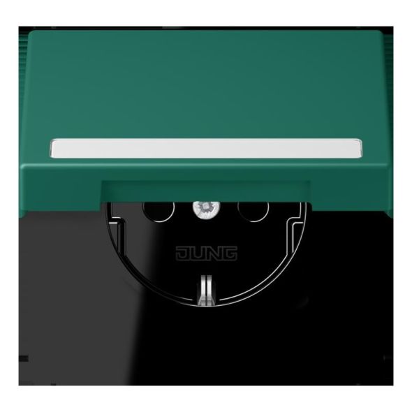 SCHUKO Steckdose LC 1520 BFNAKL 216