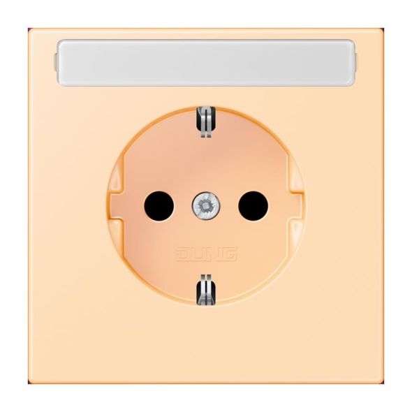 SCHUKO Steckdose LC 1520 N 223