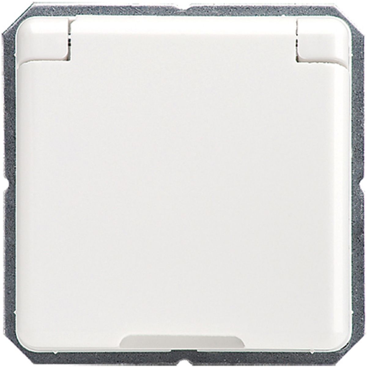 UP-Steckdoseneinsatz MSK 215534