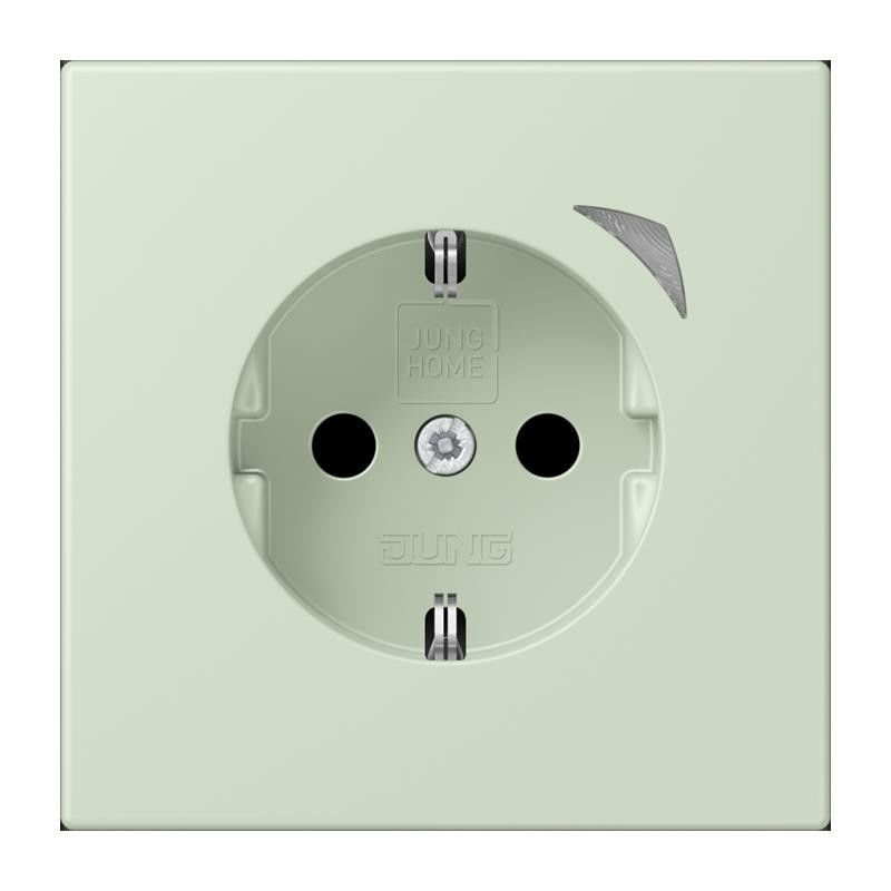 SCHUKO Steckdose BT LC 1521 S 218