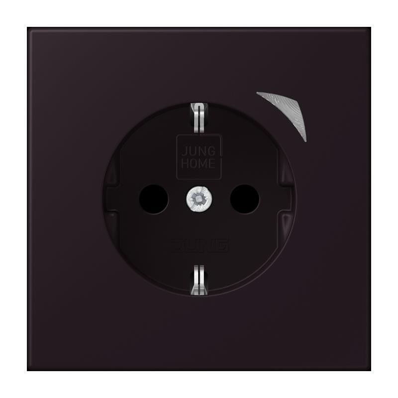 SCHUKO Steckdose BT LC 1521 S 248