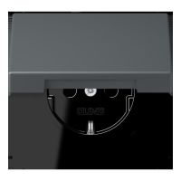 SCHUKO Steckdose LC 1520 BFKIKL 202