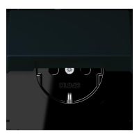 SCHUKO Steckdose LC 1520 BFKL 248