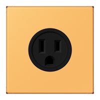 Steckd NEMA15 LC 521-15 254
