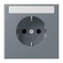 SCHUKO Steckdose LC 1520 N 251