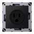 Steckd NEMA15 A125 A 521-15 SWM