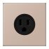 Steckd NEMA15 LC 521-15 240