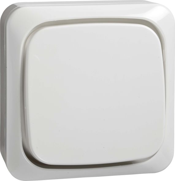 AP-Taster rw 562104