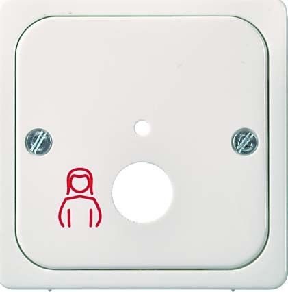 Zentralplatte Pneumatik 735854