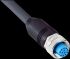 Sensor-Aktor-Leitung YF2A2B-020UD2XLEAX