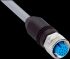 Sensor-Aktor-Leitung YF2A2B-050VH2XLEAX