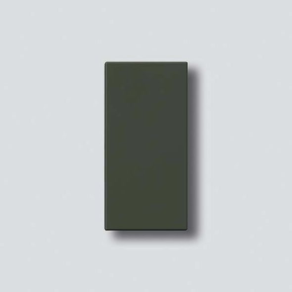 Taste m.Glockensym.graphit 200034796-00