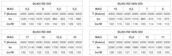 LED-Wand-u.Deckenleuchte BLKHRDS.250P10WCPSBK