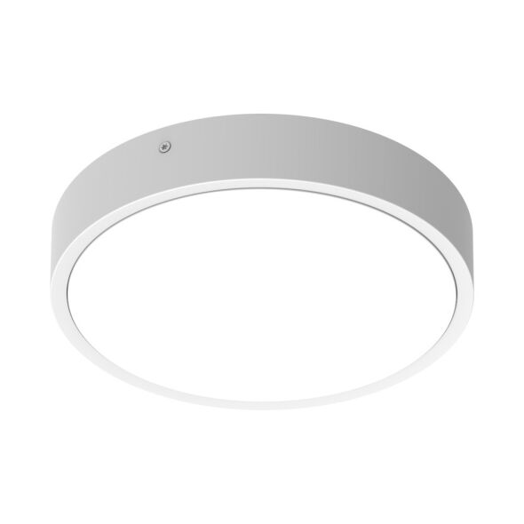 LED-Wand-u.Deckenleuchte BLKHRDS.250P10WCPSWT