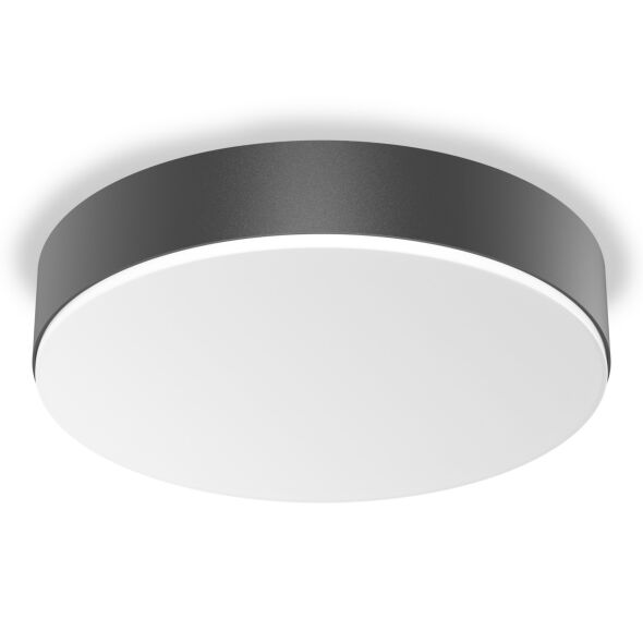 LED-Sensor-Leuchte RSPROA30 SC ww anthr