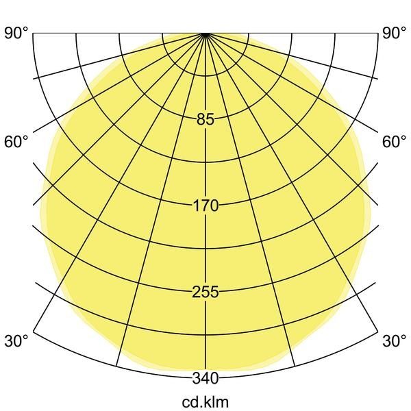 LED-Anbau-Flächenleuchte 13685174