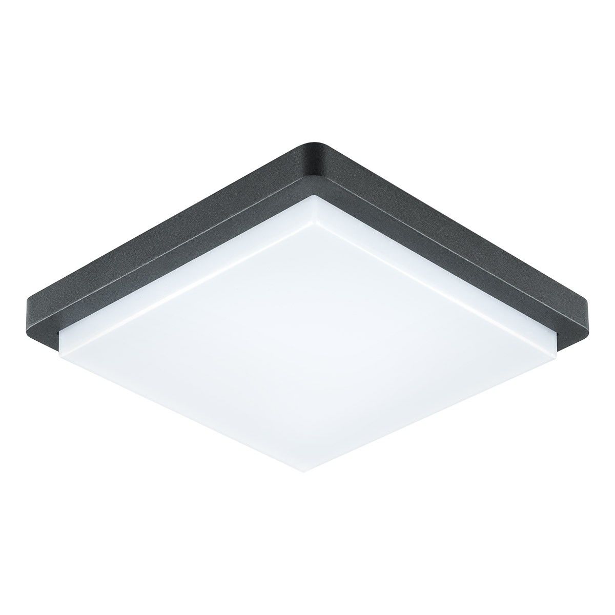 LED-Anbauleuchte DAQH54141502