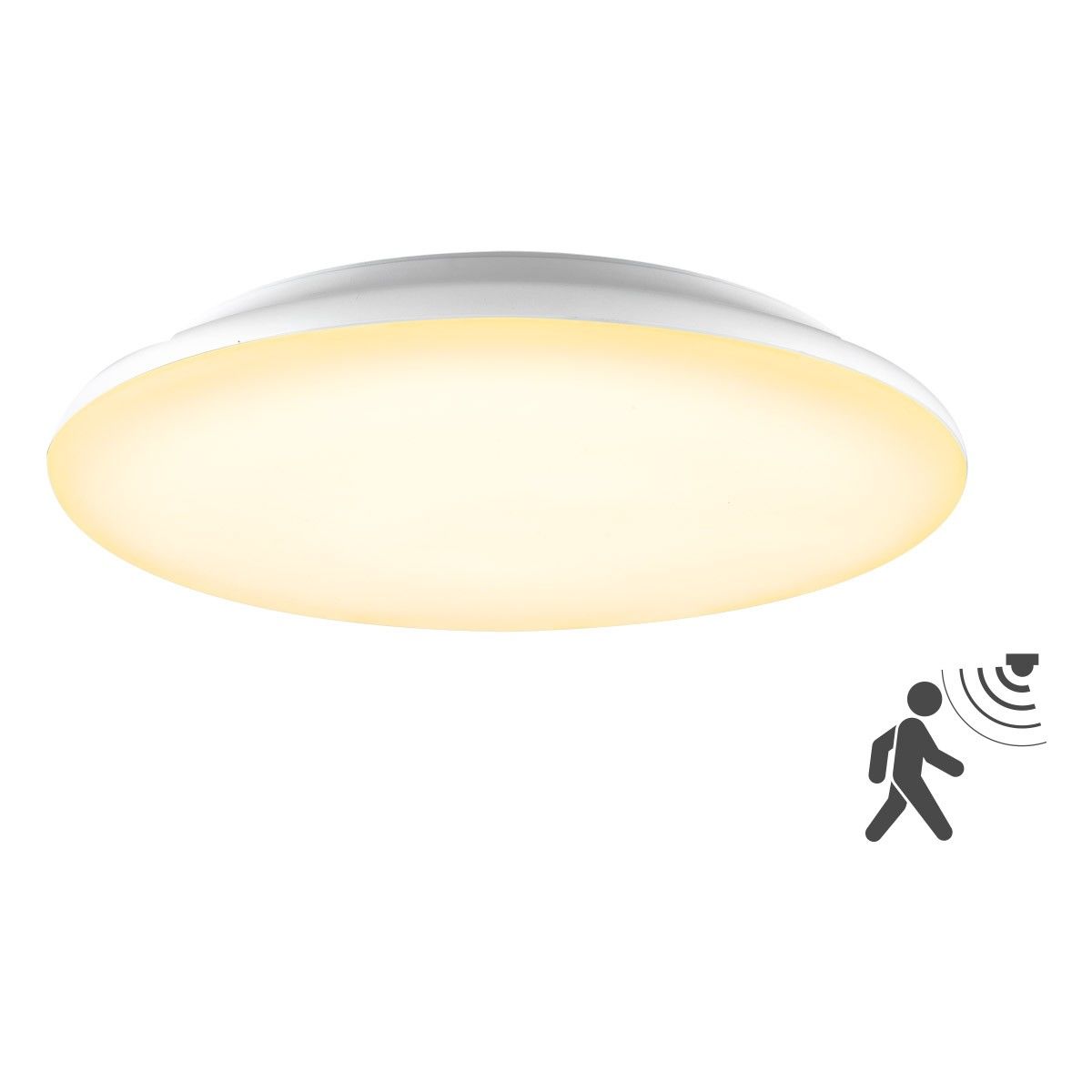 LED-Anbauleuchte L40300125BM